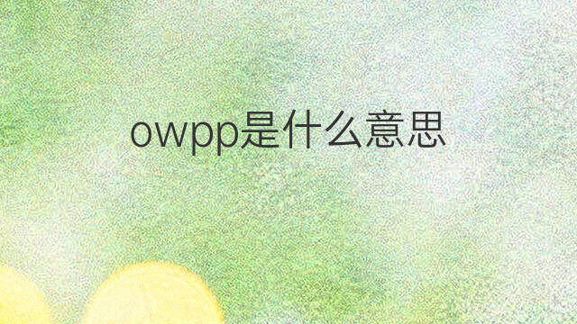 owpp是什么意思 owpp的中文翻译、读音、例句