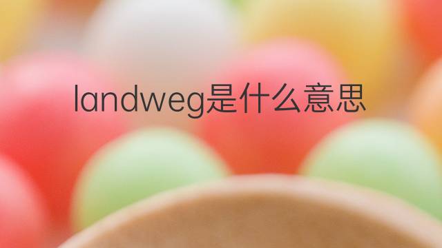 landweg是什么意思 landweg的中文翻译、读音、例句