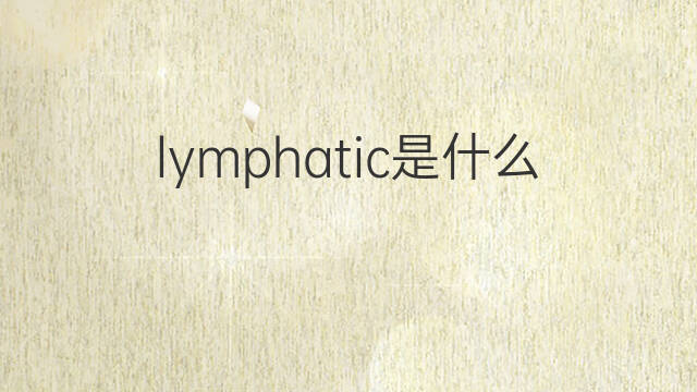 lymphatic是什么意思 lymphatic的中文翻译、读音、例句