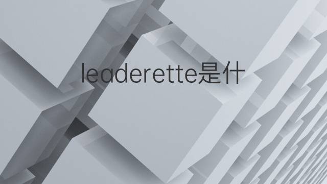 leaderette是什么意思 leaderette的中文翻译、读音、例句