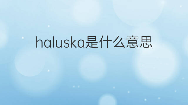 haluska是什么意思 haluska的中文翻译、读音、例句
