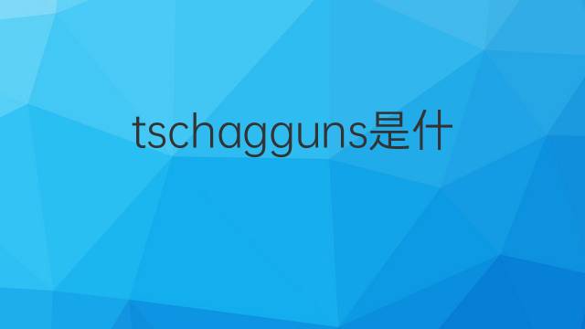 tschagguns是什么意思 tschagguns的中文翻译、读音、例句