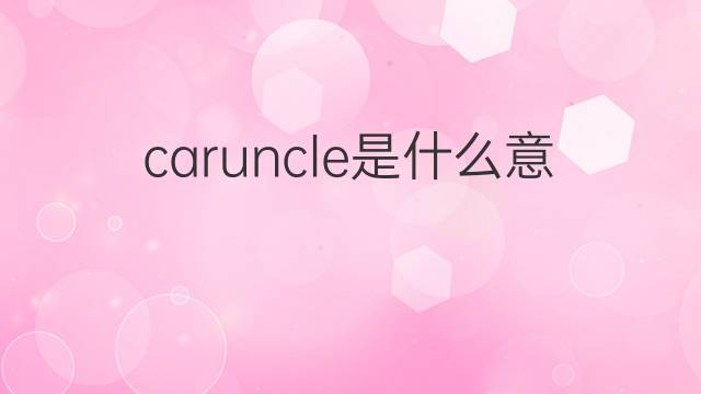 caruncle是什么意思 caruncle的中文翻译、读音、例句