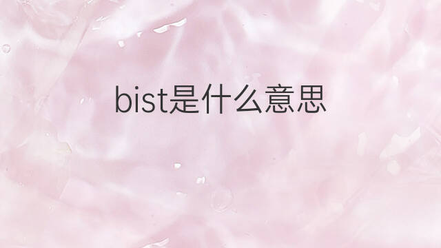 bist是什么意思 bist的中文翻译、读音、例句
