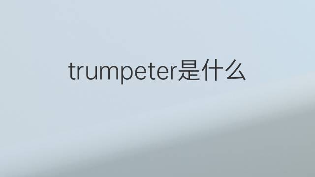 trumpeter是什么意思 trumpeter的中文翻译、读音、例句