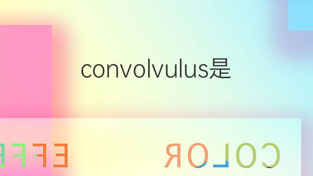 convolvulus是什么意思 convolvulus的中文翻译、读音、例句