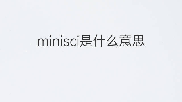 minisci是什么意思 minisci的中文翻译、读音、例句