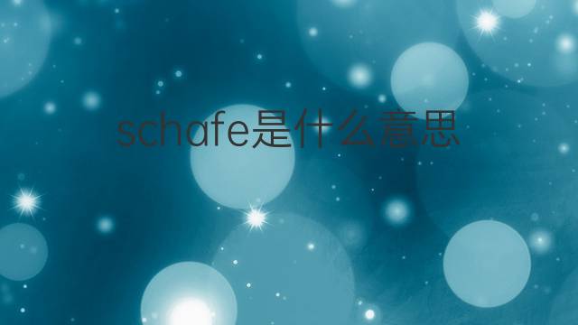 schafe是什么意思 schafe的中文翻译、读音、例句