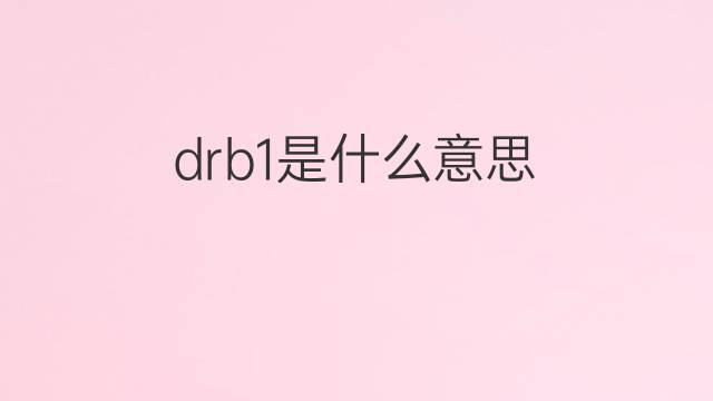 drb1是什么意思 drb1的中文翻译、读音、例句