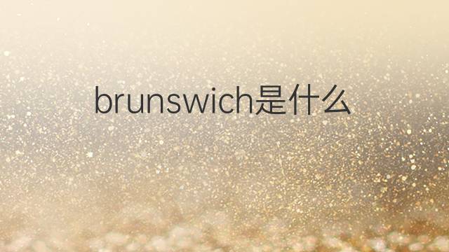 brunswich是什么意思 brunswich的中文翻译、读音、例句