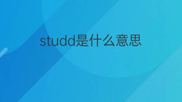 studd是什么意思 studd的中文翻译、读音、例句