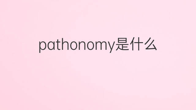 pathonomy是什么意思 pathonomy的中文翻译、读音、例句