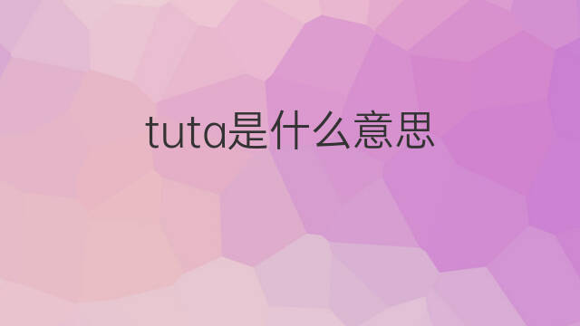 tuta是什么意思 tuta的中文翻译、读音、例句