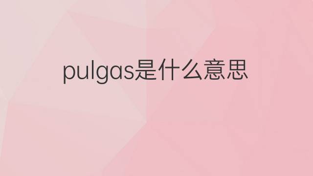 pulgas是什么意思 pulgas的中文翻译、读音、例句