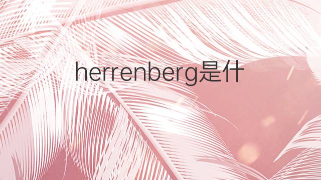 herrenberg是什么意思 herrenberg的中文翻译、读音、例句