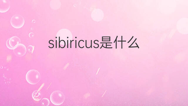 sibiricus是什么意思 sibiricus的中文翻译、读音、例句