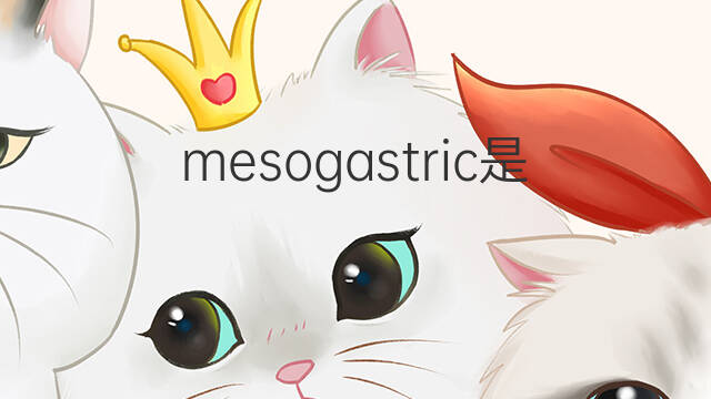 mesogastric是什么意思 mesogastric的中文翻译、读音、例句