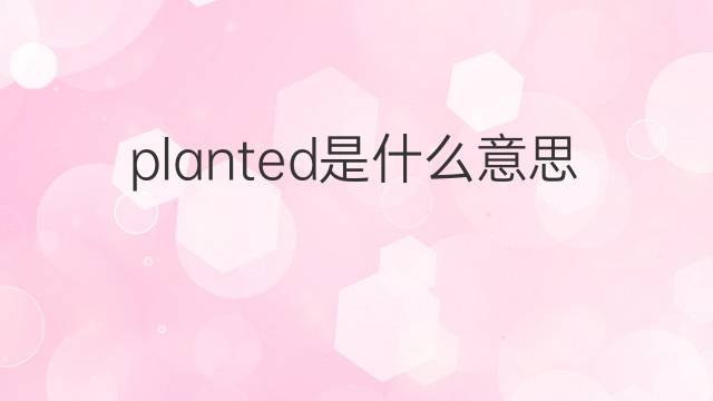 planted是什么意思 planted的中文翻译、读音、例句