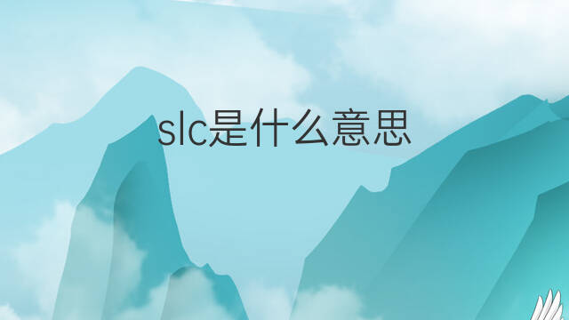 slc是什么意思 slc的中文翻译、读音、例句