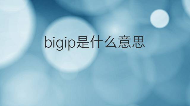 bigip是什么意思 bigip的中文翻译、读音、例句