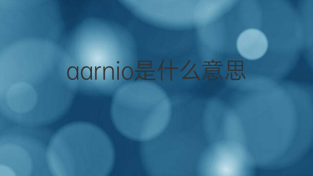 aarnio是什么意思 aarnio的中文翻译、读音、例句