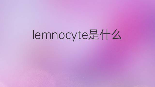 lemnocyte是什么意思 lemnocyte的中文翻译、读音、例句