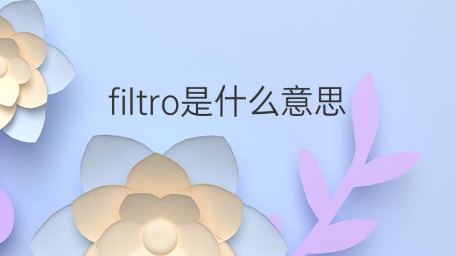 filtro是什么意思 filtro的中文翻译、读音、例句