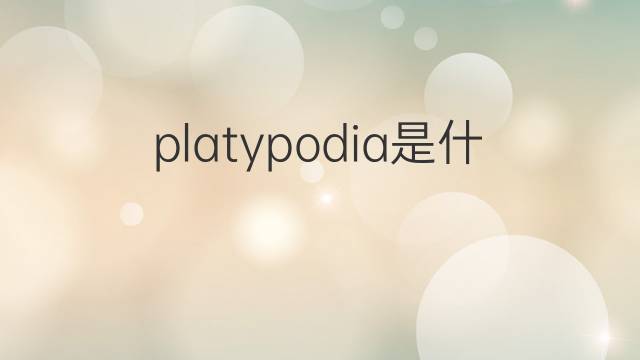 platypodia是什么意思 platypodia的中文翻译、读音、例句