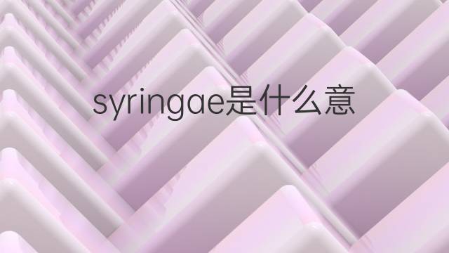 syringae是什么意思 syringae的中文翻译、读音、例句
