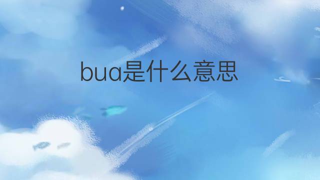 bua是什么意思 bua的中文翻译、读音、例句