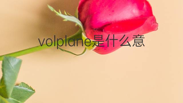 volplane是什么意思 volplane的中文翻译、读音、例句