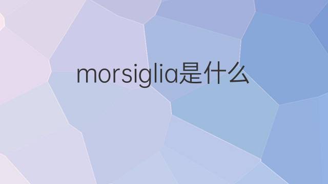 morsiglia是什么意思 morsiglia的中文翻译、读音、例句