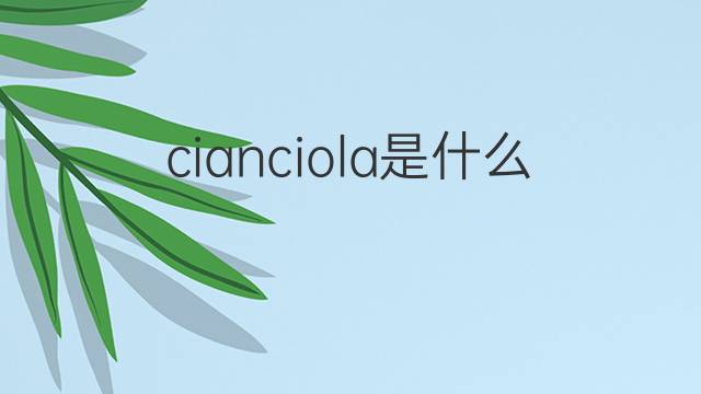 cianciola是什么意思 cianciola的中文翻译、读音、例句