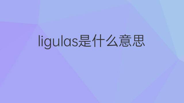 ligulas是什么意思 ligulas的中文翻译、读音、例句