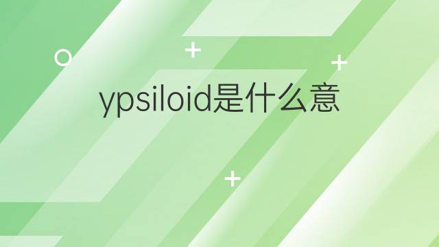 ypsiloid是什么意思 ypsiloid的中文翻译、读音、例句