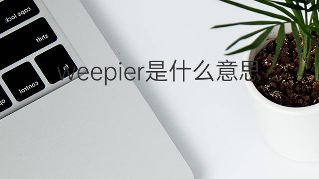 weepier是什么意思 weepier的中文翻译、读音、例句