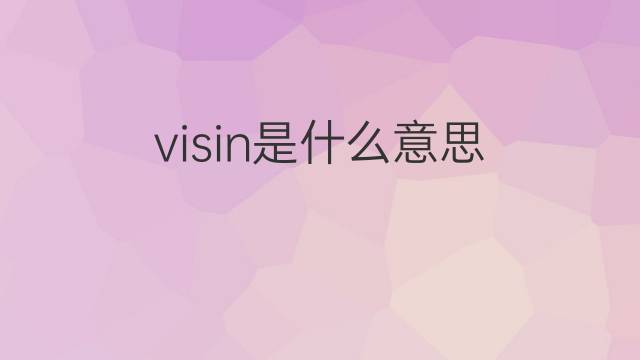 visin是什么意思 visin的中文翻译、读音、例句