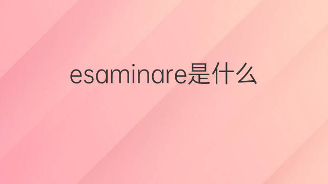 esaminare是什么意思 esaminare的中文翻译、读音、例句