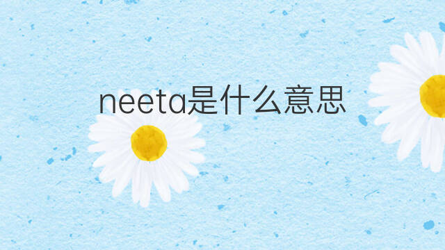 neeta是什么意思 neeta的中文翻译、读音、例句