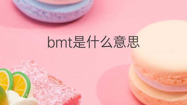 bmt是什么意思 bmt的中文翻译、读音、例句