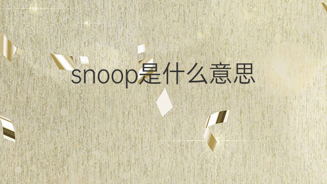 snoop是什么意思 snoop的中文翻译、读音、例句