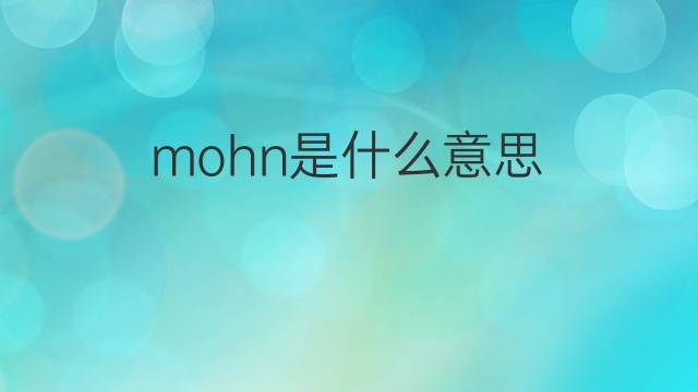 mohn是什么意思 英文名mohn的翻译、发音、来源