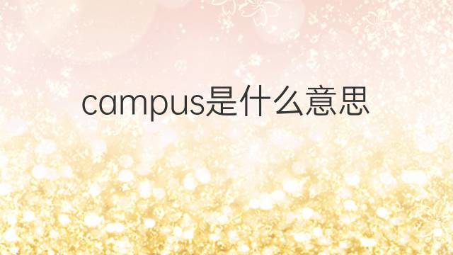 campus是什么意思 campus的中文翻译、读音、例句