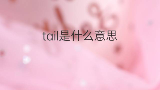 tail是什么意思 tail的中文翻译、读音、例句