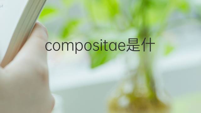compositae是什么意思 compositae的中文翻译、读音、例句
