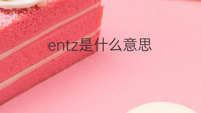 entz是什么意思 entz的中文翻译、读音、例句