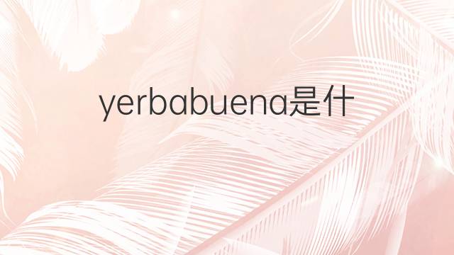yerbabuena是什么意思 yerbabuena的中文翻译、读音、例句