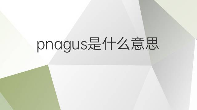 pnagus是什么意思 pnagus的中文翻译、读音、例句