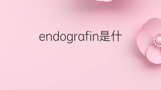 endografin是什么意思 endografin的中文翻译、读音、例句