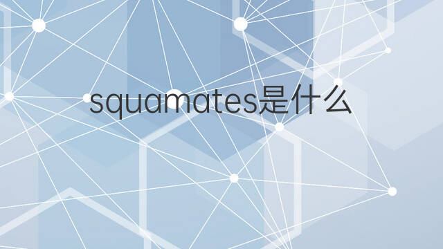 squamates是什么意思 squamates的中文翻译、读音、例句